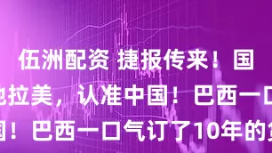 伍洲配资 捷报传来！国产一哥落地拉美，认准中国！巴西一口气订了10年的货